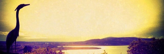 AlisonCarlin1's profile banner image