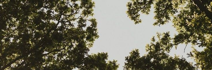 m banner
