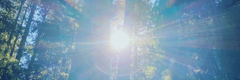 sepmanoo's profile banner image