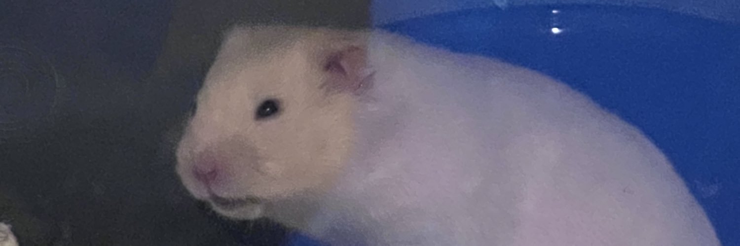 MarcusMarianoo's profile banner image