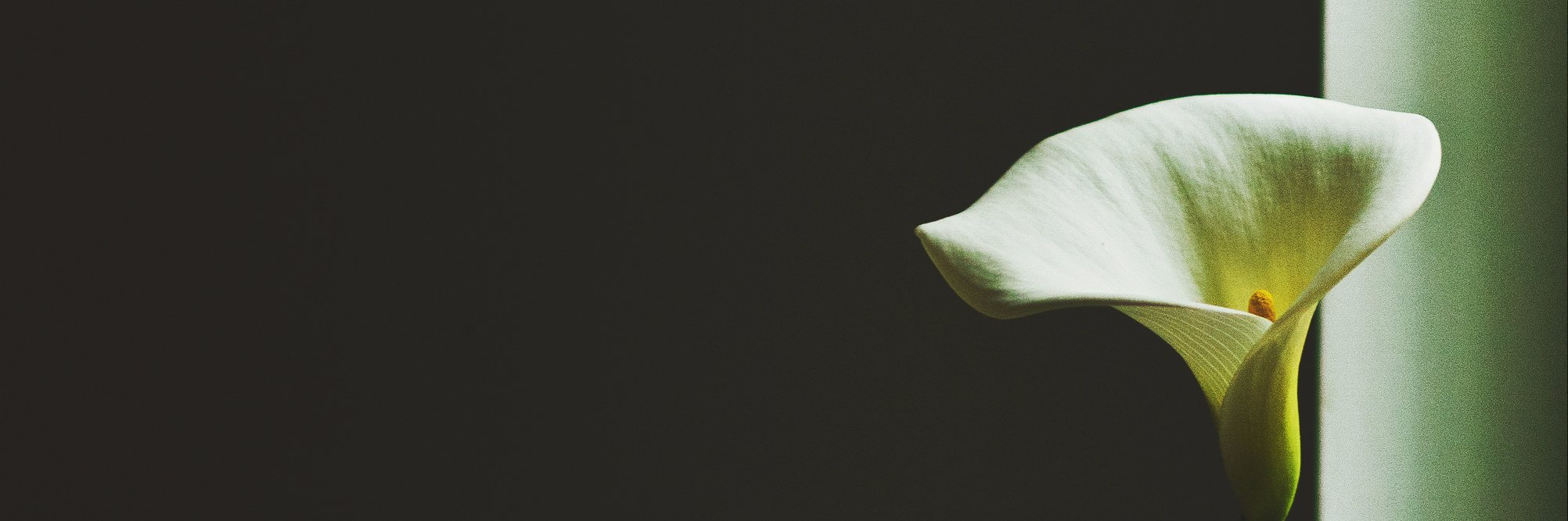 LindyKateH's profile banner image