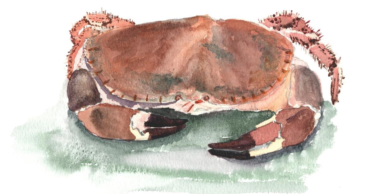 Meurig Hughes banner