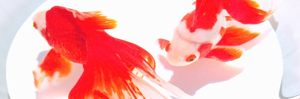 M10s26's profile banner image