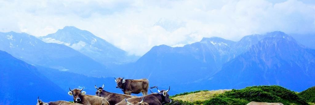 ns_jorgensen's profile banner image