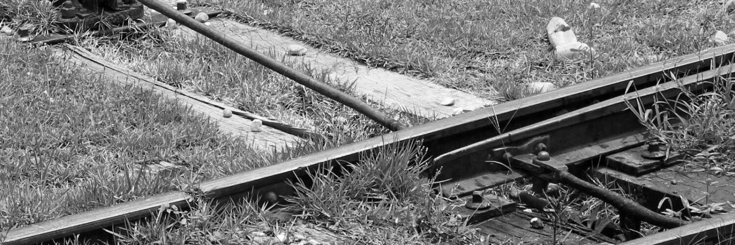 Emerson Cervi banner