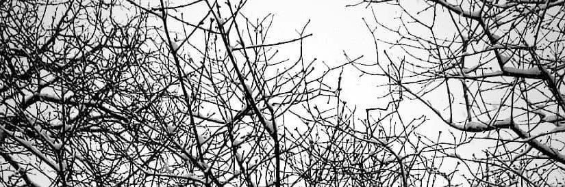 KHertmann's profile banner image