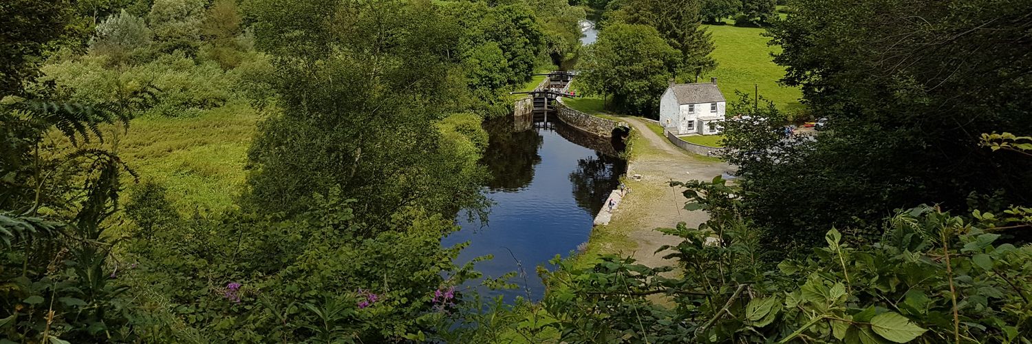 Allen Fitzpatrick banner