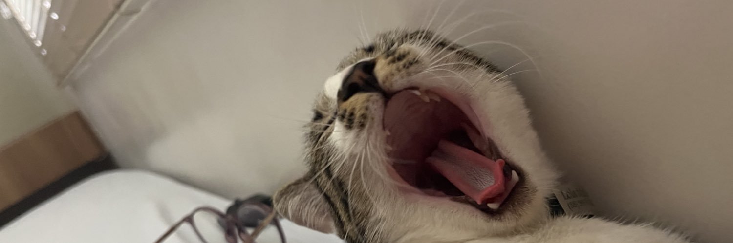 livsts's profile banner image