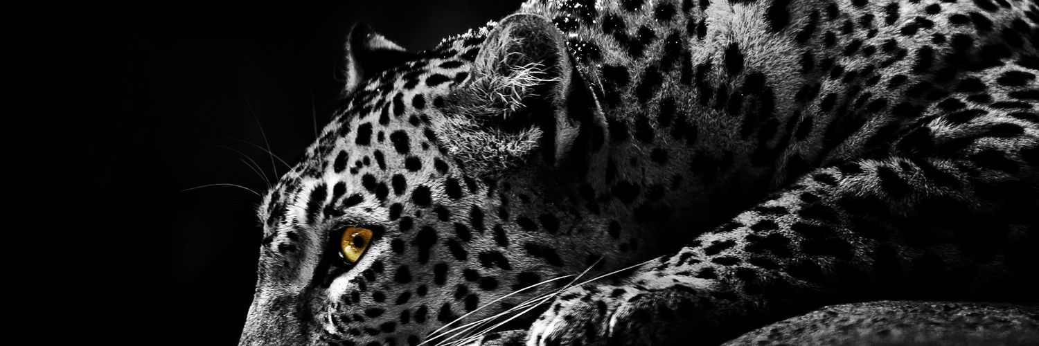 Adrian9819's profile banner image