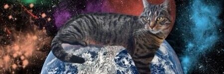 AlCarter1127's profile banner image