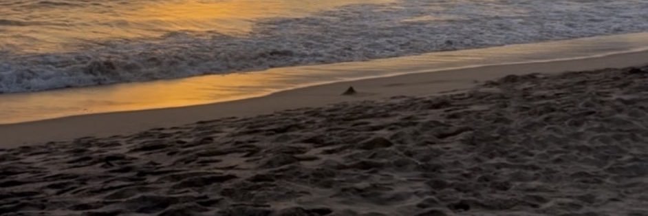 Babybugthug69's profile banner image