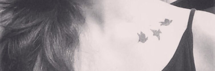 Kim_pawsible's profile banner image