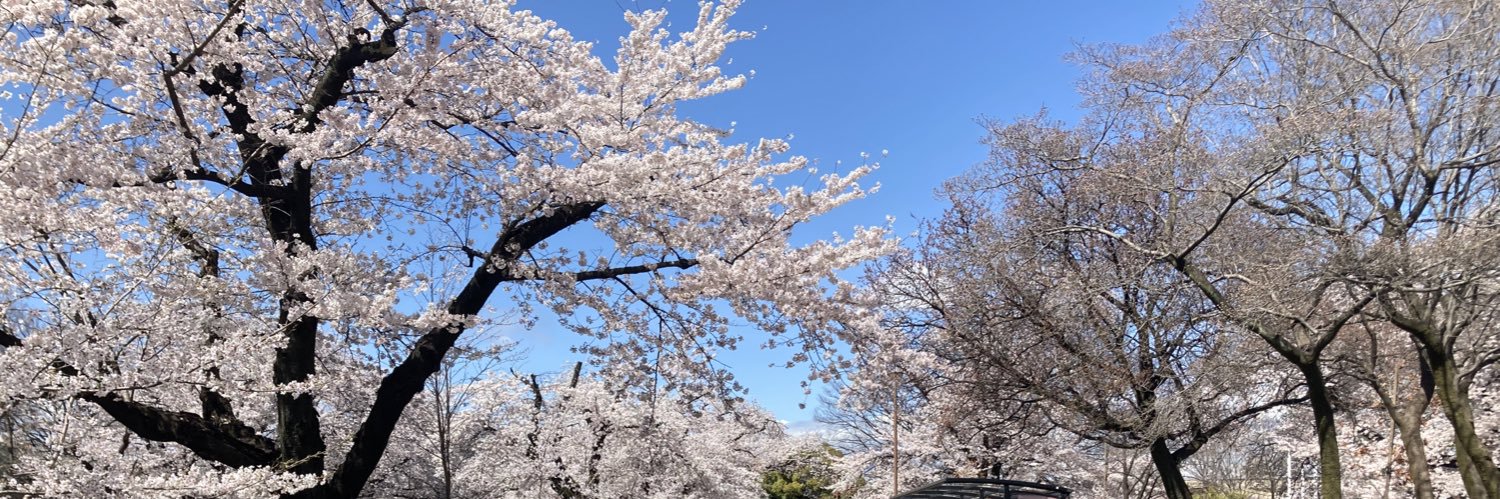 higashi211's profile banner image