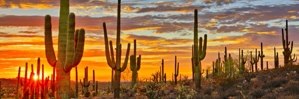 afrazzMD Profile Banner