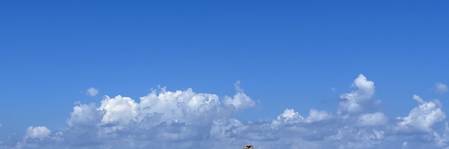 gvucci_'s profile banner image