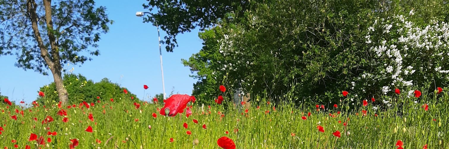 karinmeppel's profile banner image