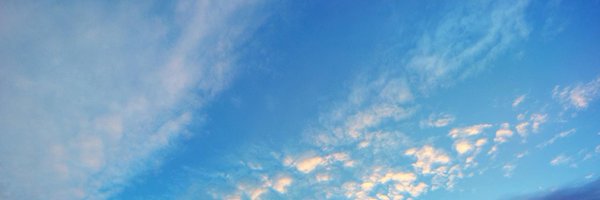 SolAlzu Profile Banner