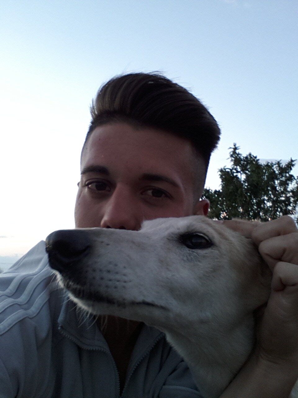 abeliyo12's profile banner image