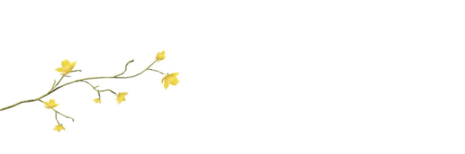 amnaMA__'s profile banner image