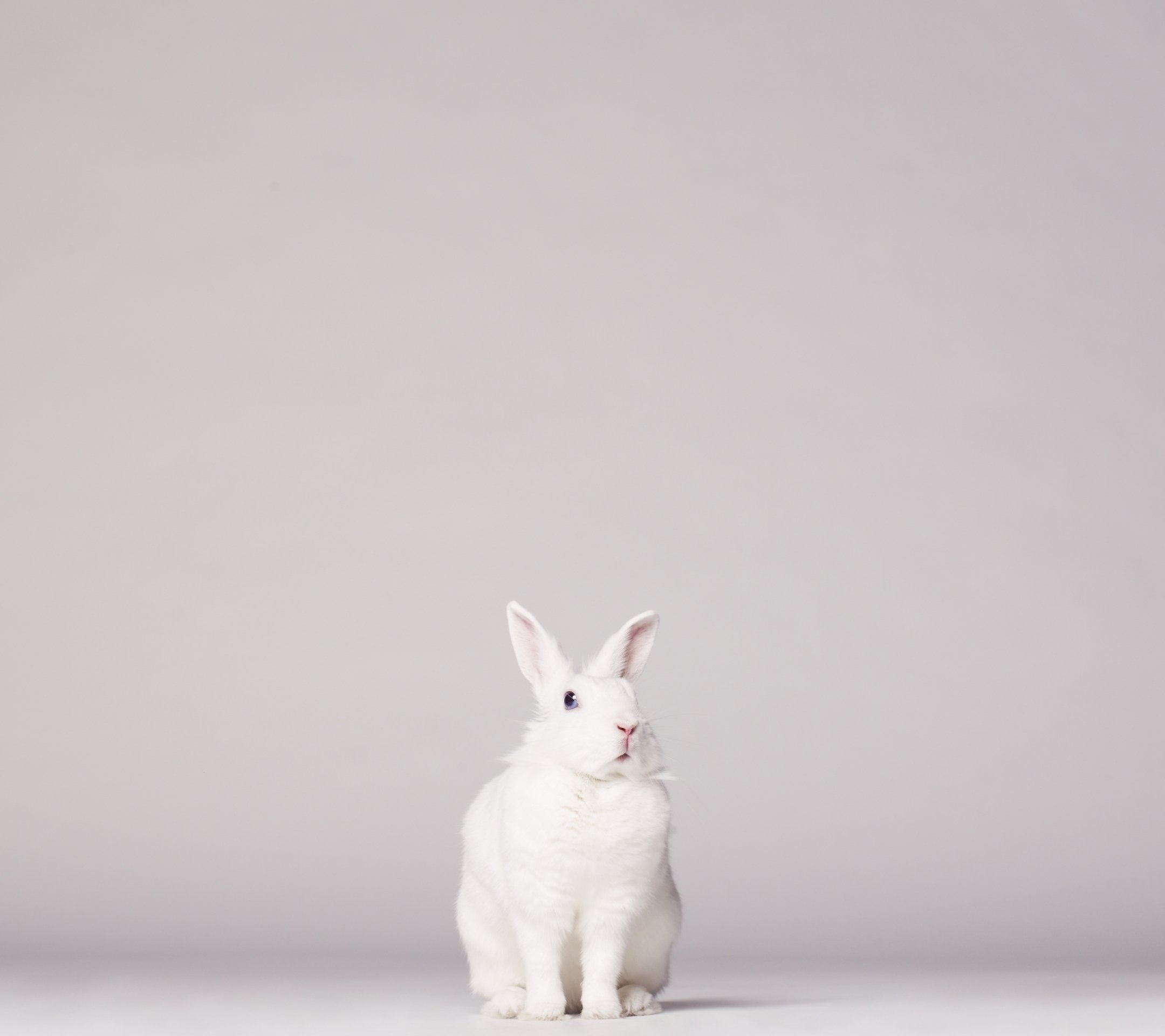 Noveriall's profile banner image