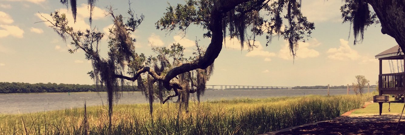 The_syd_ney's profile banner image