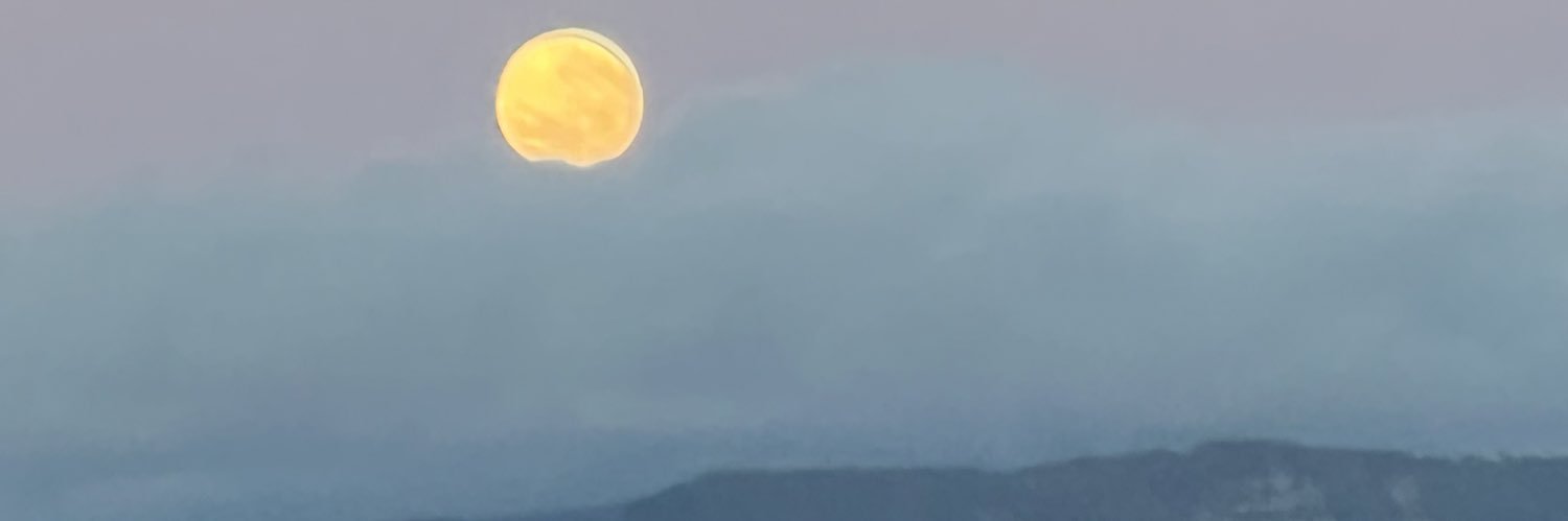 Extradry31's profile banner image