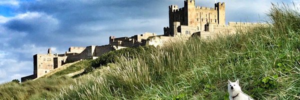 authentic_simon Profile Banner