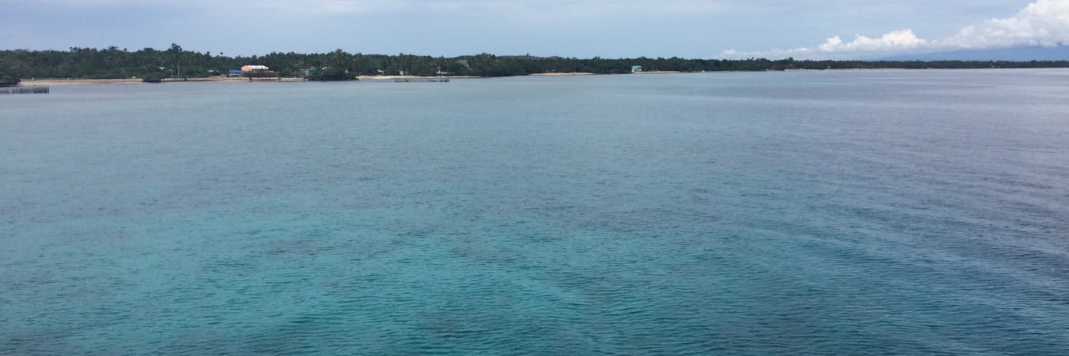 carla_cecconi's profile banner image