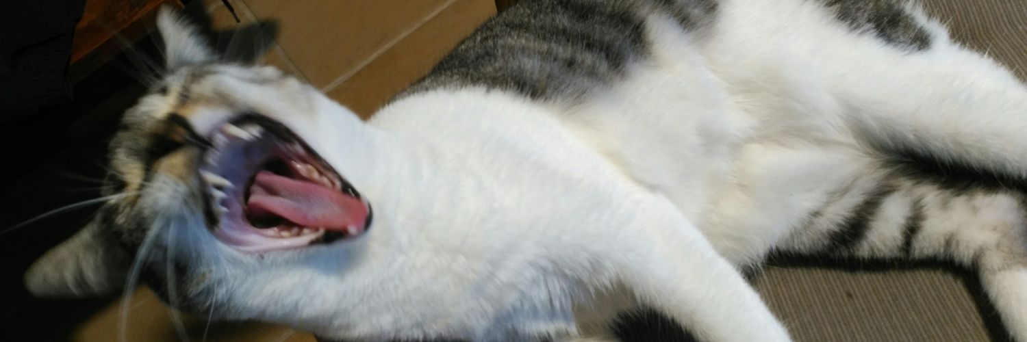 MartinZX11's profile banner image