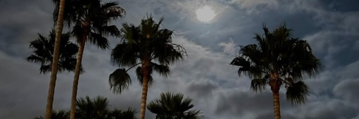  ᴀʟᴡᴀғɪ banner