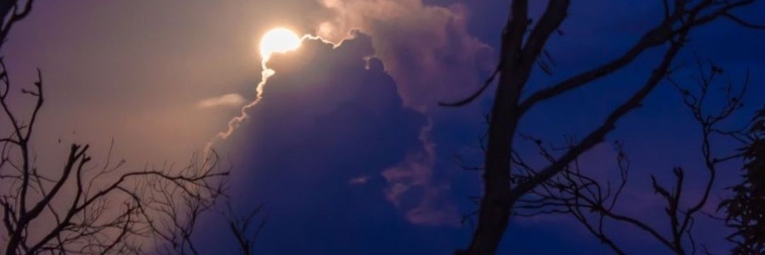 Pepking's profile banner image