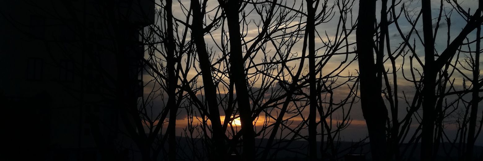 InesCosta99's profile banner image