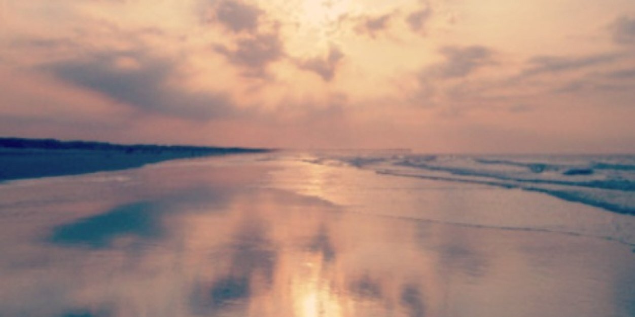 carlycignetti's profile banner image