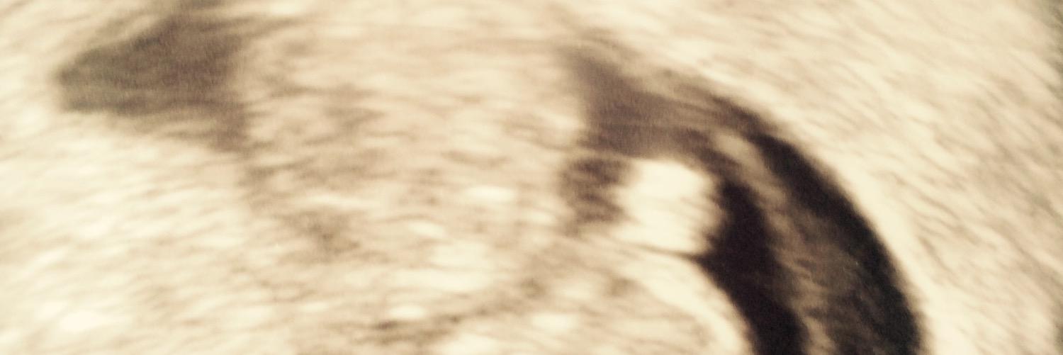 jakayla_downs's profile banner image
