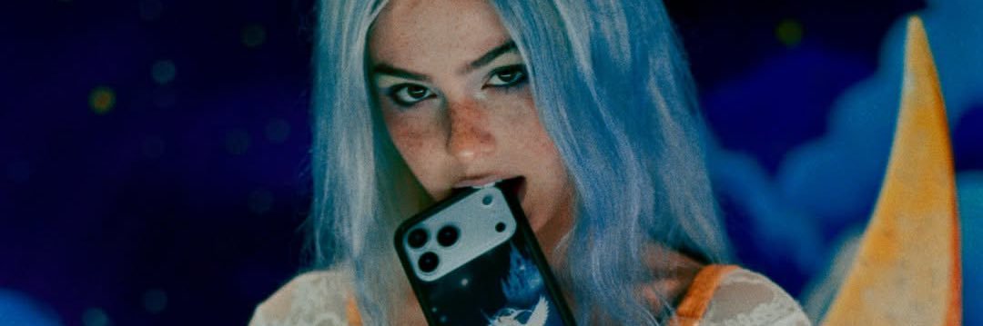 Wildflower Cases banner