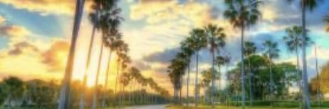japple12345's profile banner image