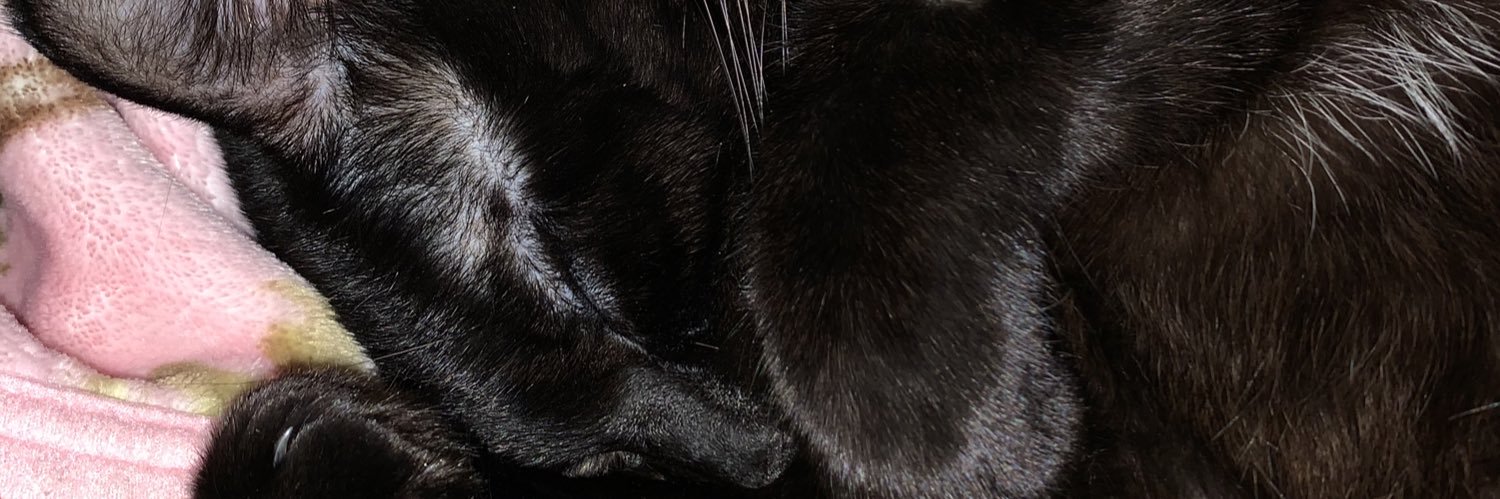 DanielleBushey1's profile banner image