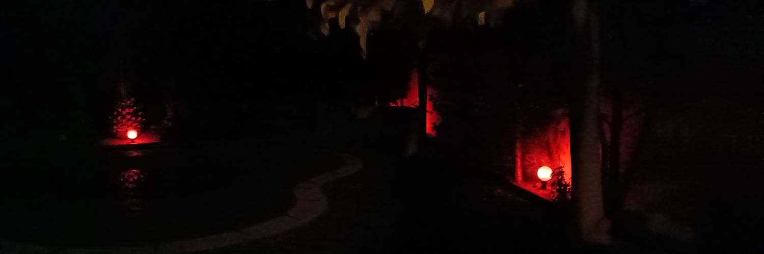 MiguelSln69's profile banner image