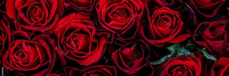 ericka_rivas1's profile banner image