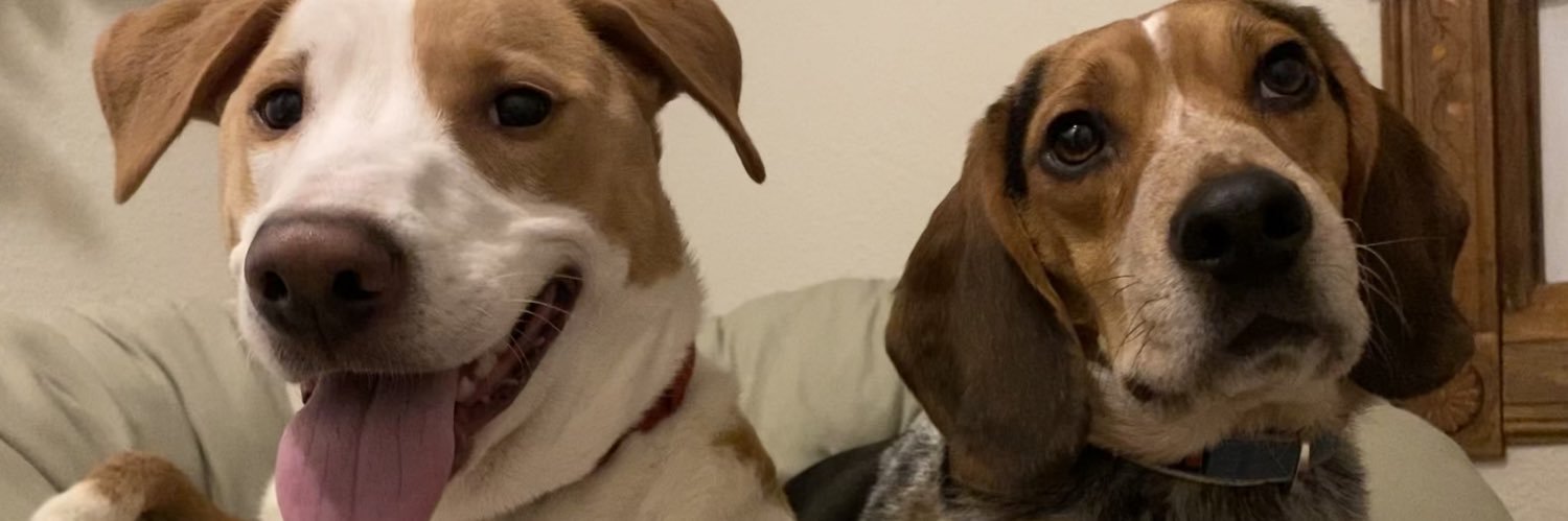 CarleySpurgeon's profile banner image