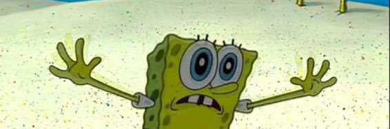 CEO OF MONKEY BUSINESS banner