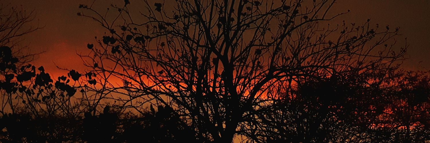 verquiel's profile banner image
