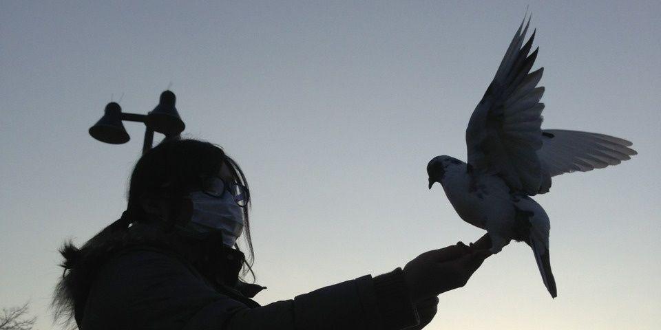 LoveMsbb's profile banner image
