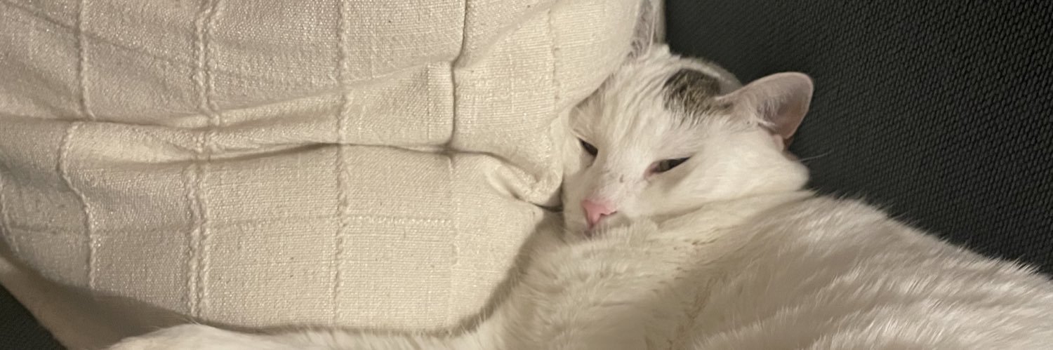 AVACATZA's profile banner image