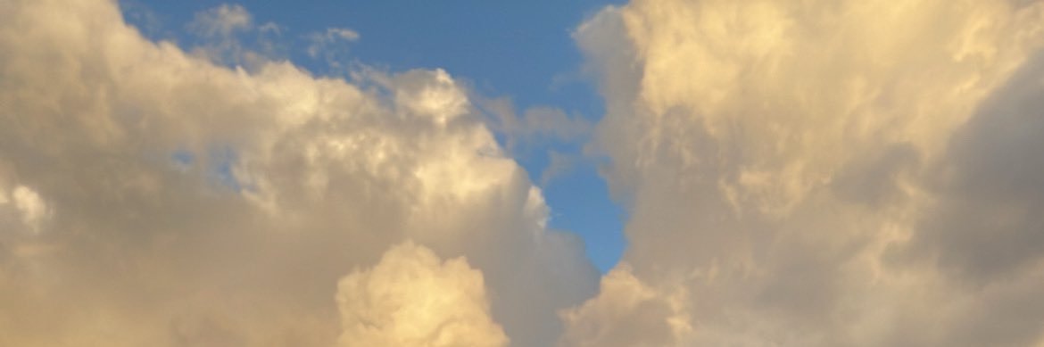alli ◟̽◞̽ banner