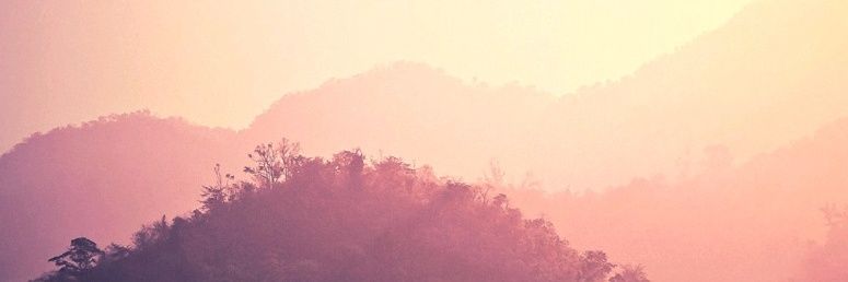 inesjurchevici's profile banner image