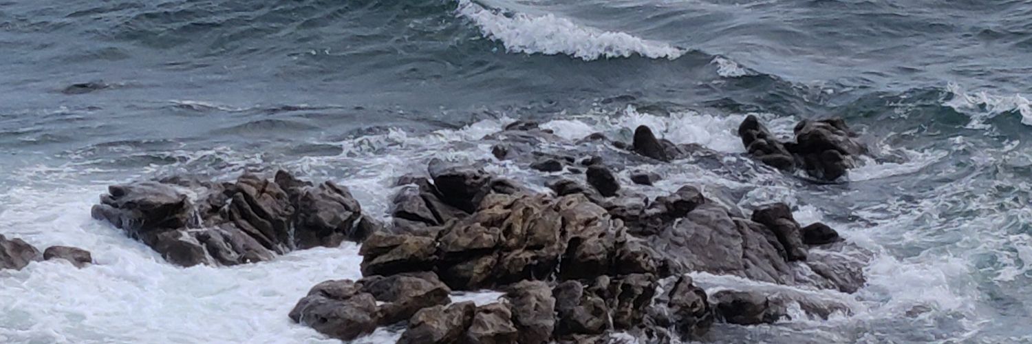 pedrowitzel's profile banner image