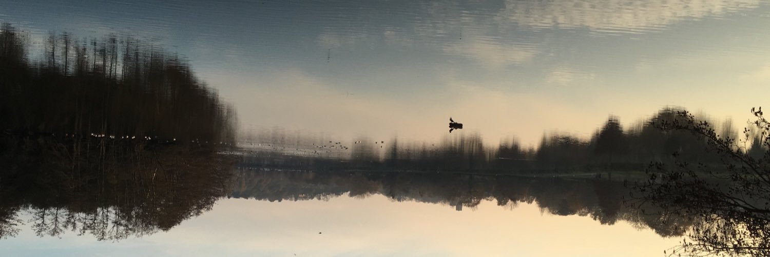 vcntdel's profile banner image