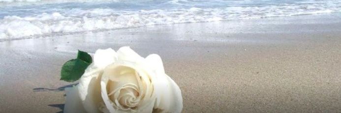debqueiroga's profile banner image