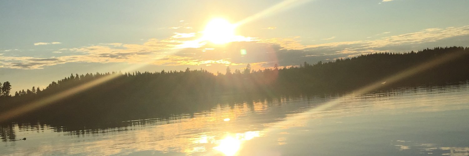 AdinaAugustsson's profile banner image